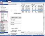 BizniSoft Formulari